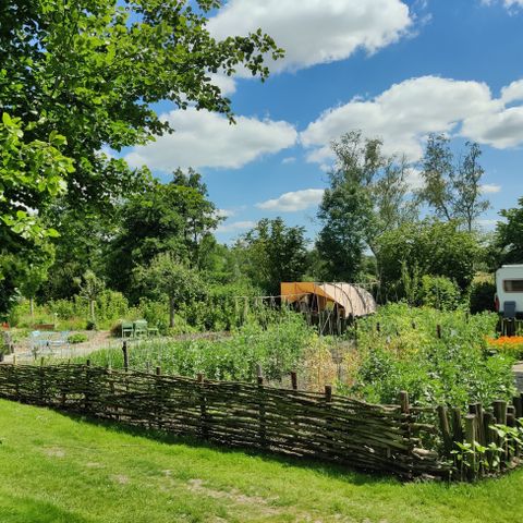 Boetiekpark de Kas - Scherpenzeel - Image N°2