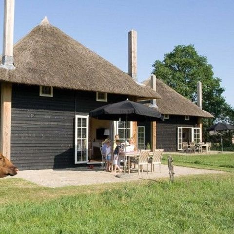 MAISON 5 personnes - Reggehooiberg