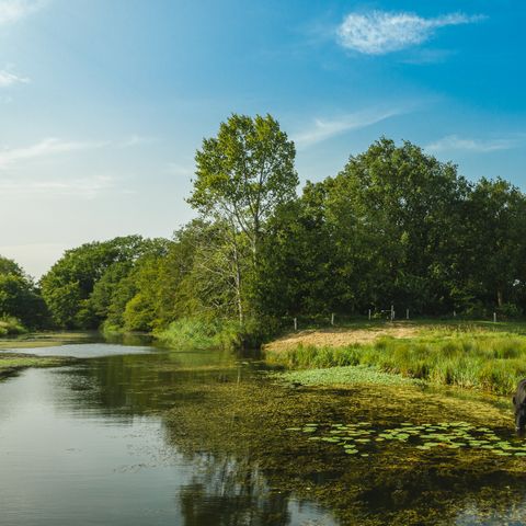 MAISON 5 personnes - Reggehooiberg