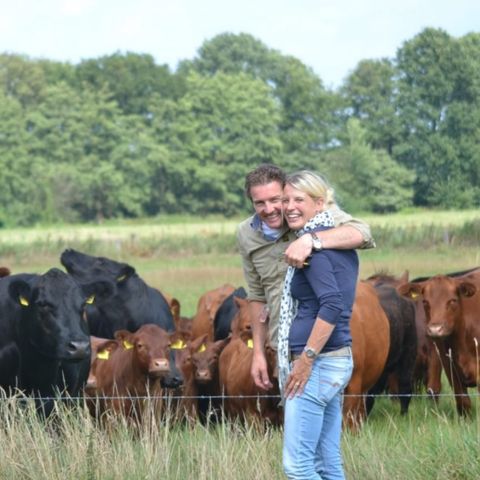 Erve Woolderink - Wierden - Image N°5