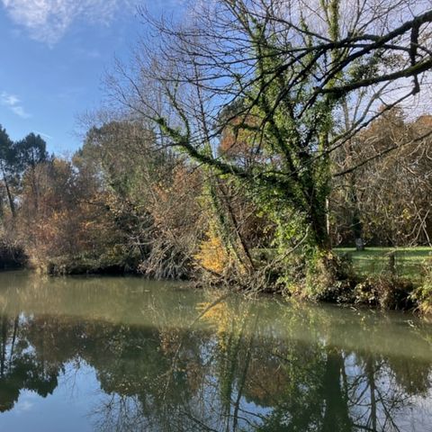 Camping Domaine du Lac - Charente-Maritime - Image N°6