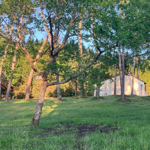 Camping Domaine du Lac - Charente-Maritime - Image N°5