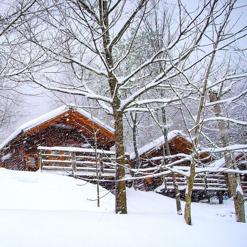 BUNGALOW 4 personnes - Bungalow Zen