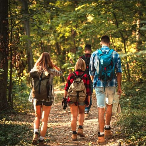 Dormio Hotel Der Seehof - Rhénanie du Nord-Westphalie - Image N°4