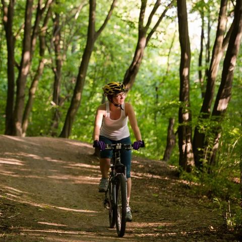 Dormio Hotel Der Seehof - Rhénanie du Nord-Westphalie - Image N°6