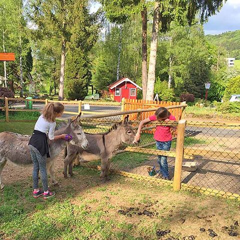 Bungalowpark Felsenhof - Rhénanie-Palatinat - Image N°2