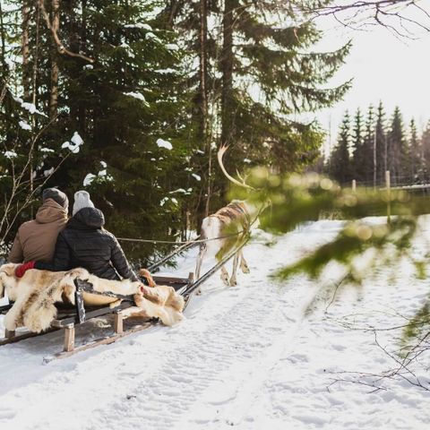 Valkeisen Loma - Central Finland - Image N°2