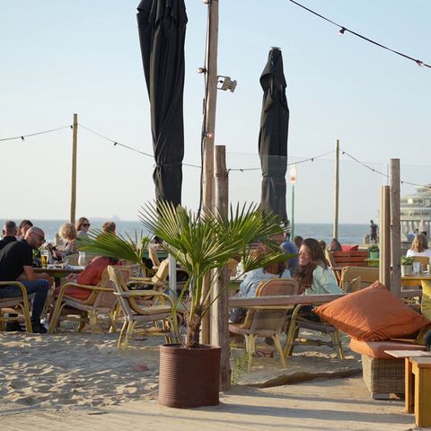 Roompot Beach Villa's Hoek van Holland - Rotterdam - Image N°4