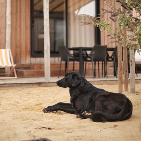 LODGE 6 personnes - Marsanne 6 Dog Friendly
