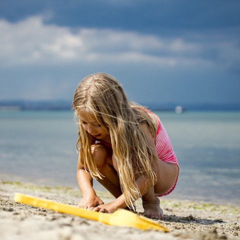 Duincamping de Lepelaar - Schagen - Image N°2