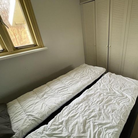 BUNGALOW 2 personnes - DuinHut Kiekendief avec bain à remous