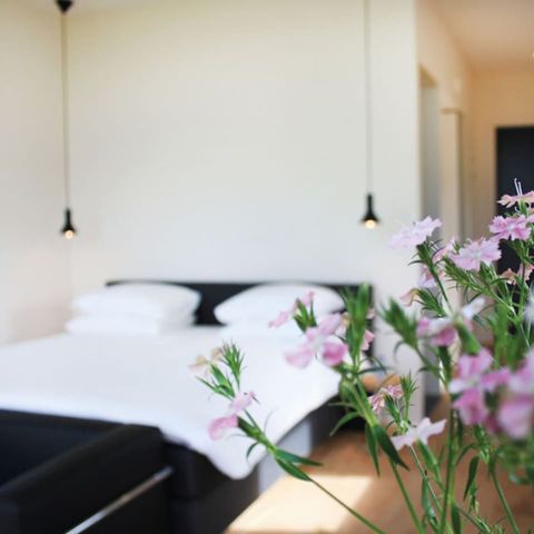 Suite 2 personnes - Anjewel Meadows Suite