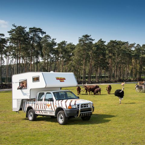 Hébergement 4 personnes - Ranger