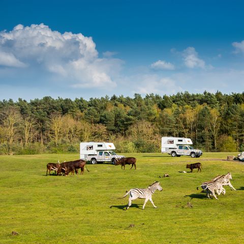 Hébergement 4 personnes - Ranger