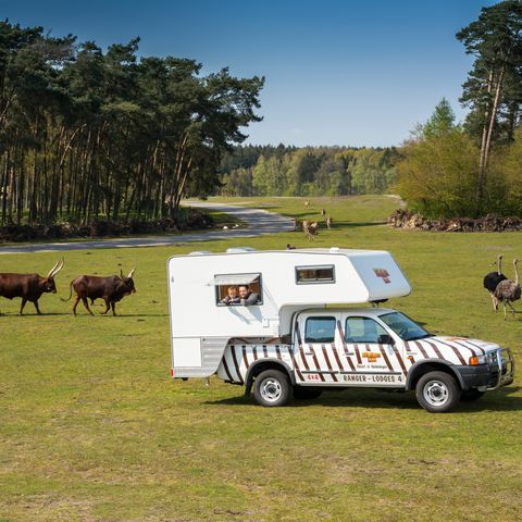 Hébergement 4 personnes - Ranger