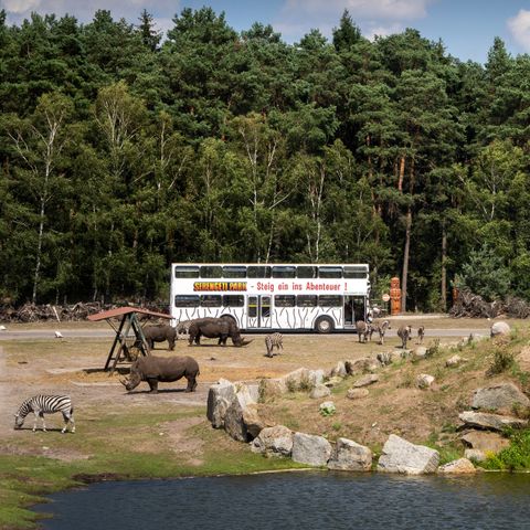 Serengeti Park - Basse-saxe - Image N°4