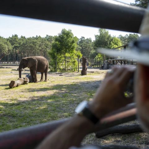 Serengeti Park - Basse-saxe - Image N°6