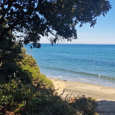 Camping Naturiste Calella - Corse du Nord - Image N°2