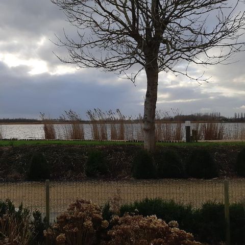 CHALET 4 personnes - Willow Rose - Heron Avenue 202