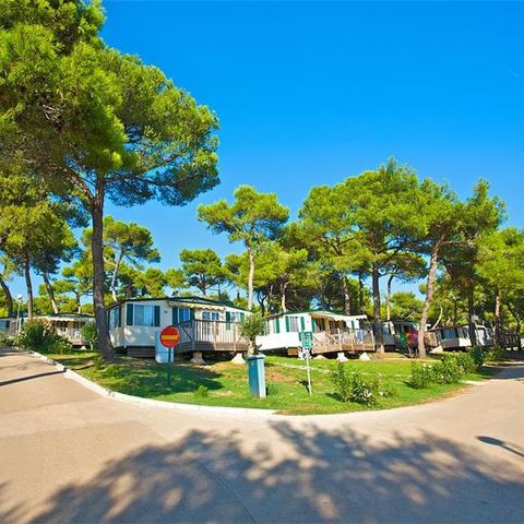 Mobilhome 5 personnes - Park side