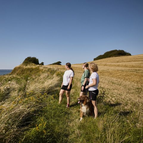 Vodatent Emmerbølle Strand Camping - Danemark du Sud - Image N°4