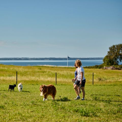 Vodatent Emmerbølle Strand Camping - Danemark du Sud - Image N°3