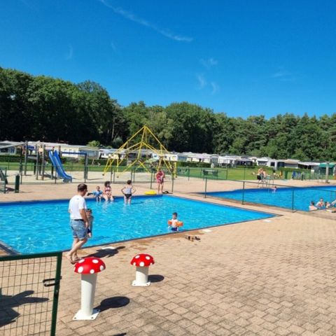 Vodatent Forest Resort Lanaken - Limburg Belge - Image N°2