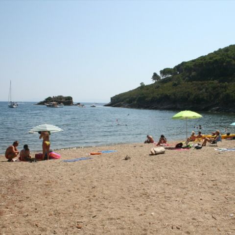 Vodatent Tenuta delle Ripalte - Livourne - Image N°5