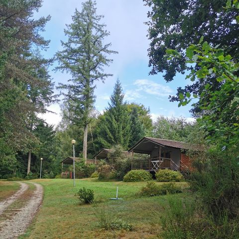 CHALET 5 personnes - Chalet Bungalow en Bois sur pilotis