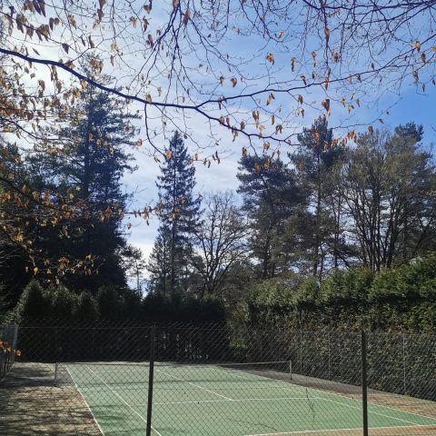 Camping Les Sapins de Corrèze - Corrèze - Image N°5