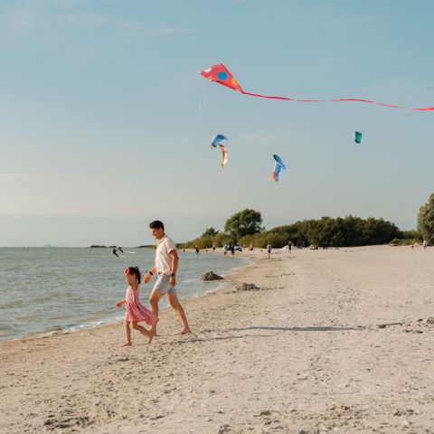 MarinaPark Beach Resort Soal - Súdwest-Fryslân - Image N°3