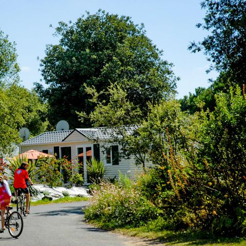 Camping île Blanche - Ile de Ré - Charente-Maritime - Image N°6