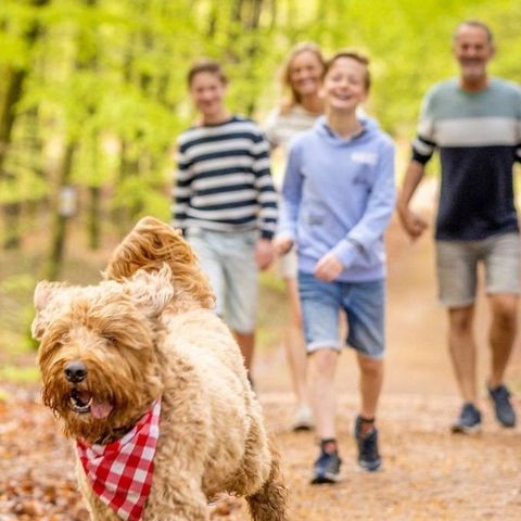 Ardennen Camping Bertrix - Luxembourg - Image N°5