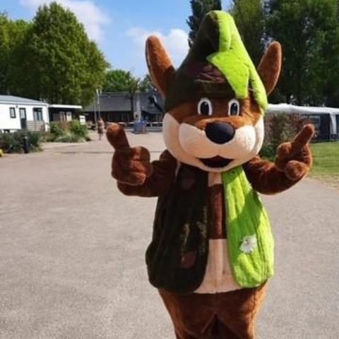 Recreatiepark Duinhoeve - Tilburg - Image N°3