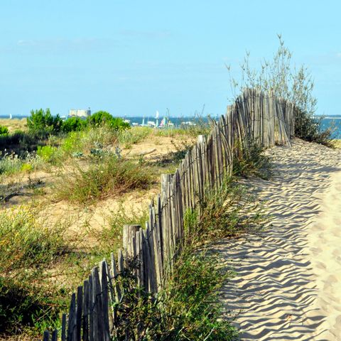 Résidence Goélia La Palmeraie - Charente-Maritime - Image N°2