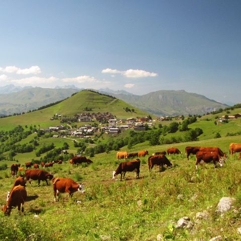 Résidence Goélia Le Relais des Pistes - Savoie - Image N°3