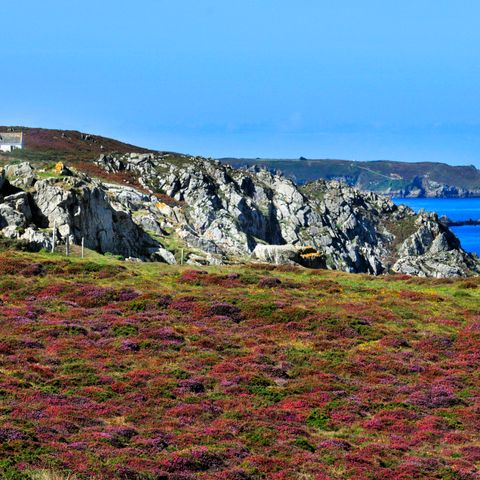 Résidence Goélia - An Douar - Finistère - Image N°5