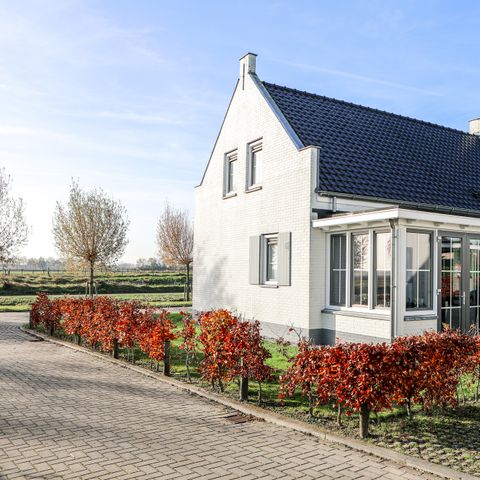 MAISON 8 personnes - Lieu : Wolphaartsdijk - 9