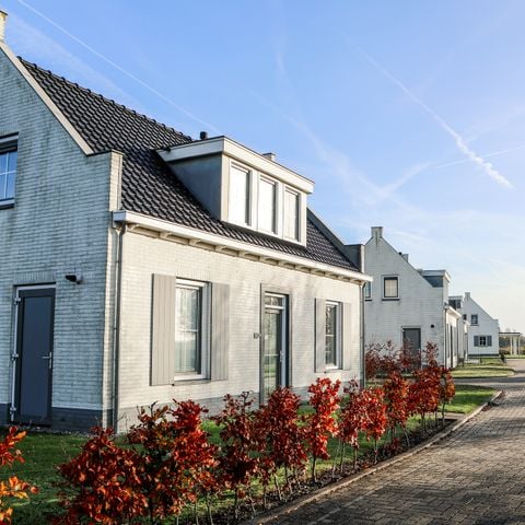 MAISON 8 personnes - Wolphaartsdijk - 9