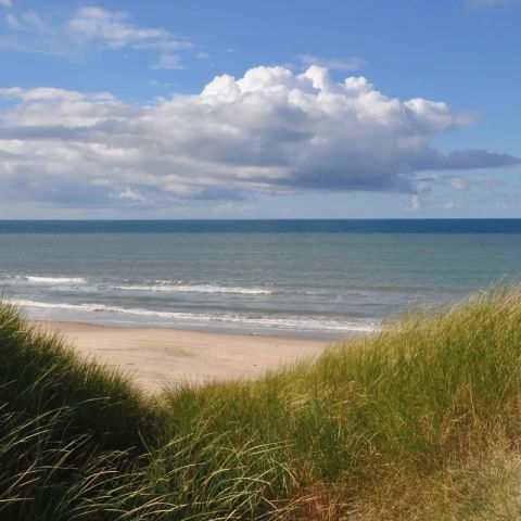 Vodatent Tornby Strand Camping - Jutland du Nord - Image N°3