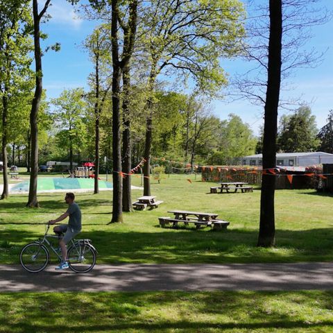 Vodatent Park Drentheland - Westerveld - Image N°4