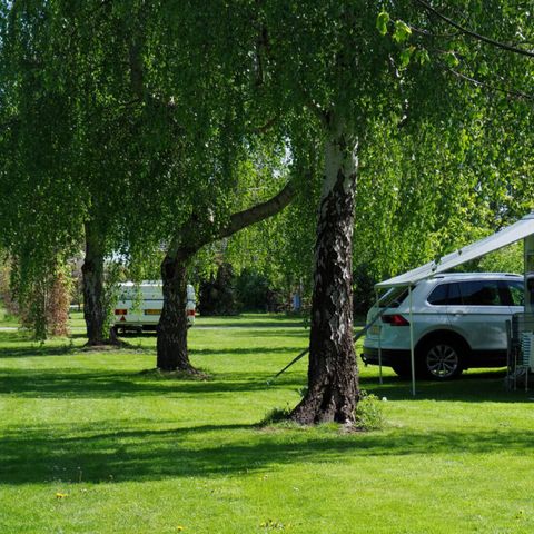 Vodatent Camping de Boerenzwaluw - Hollands Kroon - Image N°6