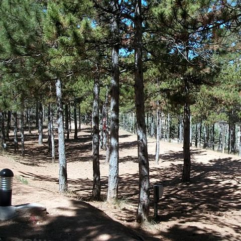 Camping Las Cabanas - Teruel - Image N°5