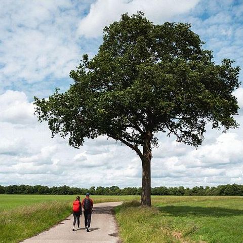 Landgoed de Huynen - Aa en Hunze - Image N°5