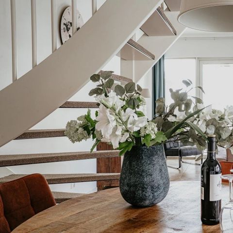 Appartement 3 personnes - Appartement dans les dunes avec terrasse ensoleillée