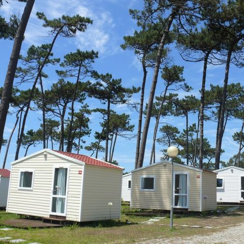 MOBILHOME 2 personnes - DOMINO