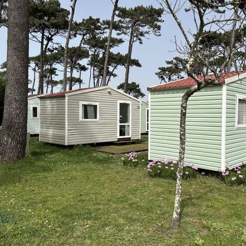 MOBILHOME 2 personnes - DOMINO
