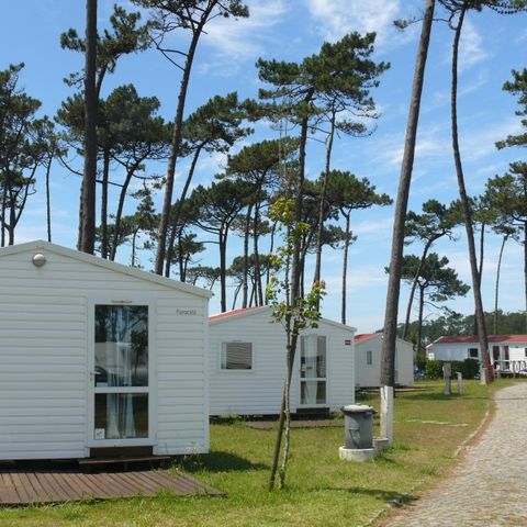 MOBILHOME 2 personnes - DOMINO