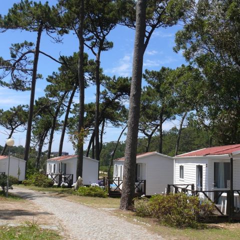 MOBILHOME 5 personnes - NEPTUNO, 2 chambres