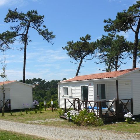 MOBILHOME 5 personnes - NEPTUNO, 2 chambres